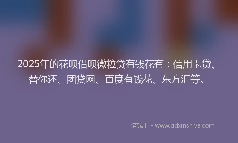 2025年的花呗借呗微粒贷有钱花有：信用卡贷、替你还、团贷网、百度有钱花、东方汇等。