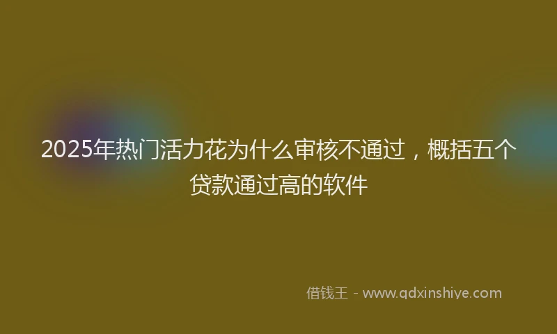 2025年热门活力花为什么审核不通过，概括五个贷款通过高的软件