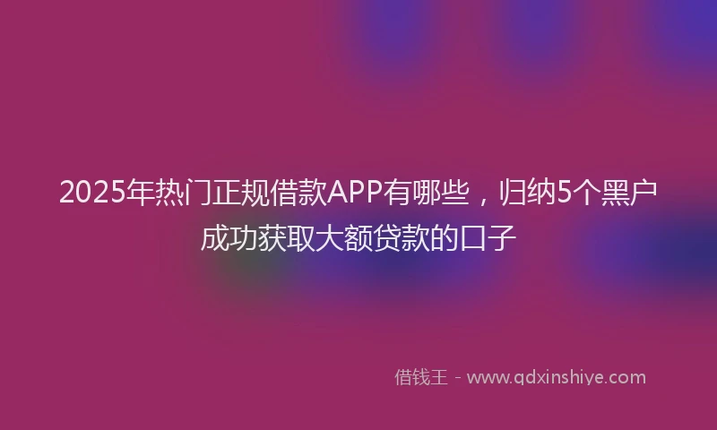 2025年热门正规借款APP有哪些，归纳5个黑户成功获取大额贷款的口子