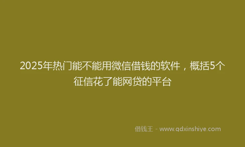 2025年热门能不能用微信借钱的软件，概括5个征信花了能网贷的平台