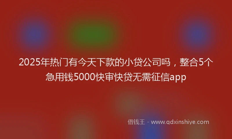 2025年热门有今天下款的小贷公司吗，整合5个急用钱5000快审快贷无需征信app