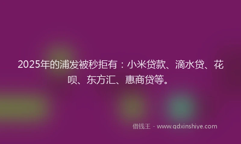 2025年的浦发被秒拒有：小米贷款、滴水贷、花呗、东方汇、惠商贷等。