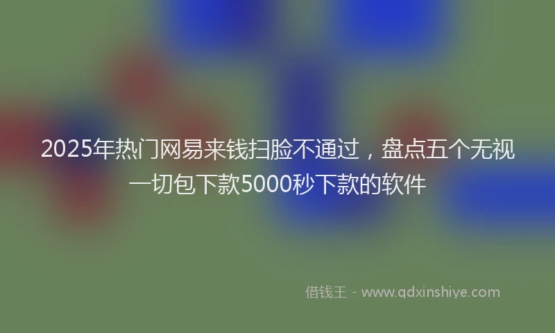 2025年热门网易来钱扫脸不通过，盘点五个无视一切包下款5000秒下款的软件