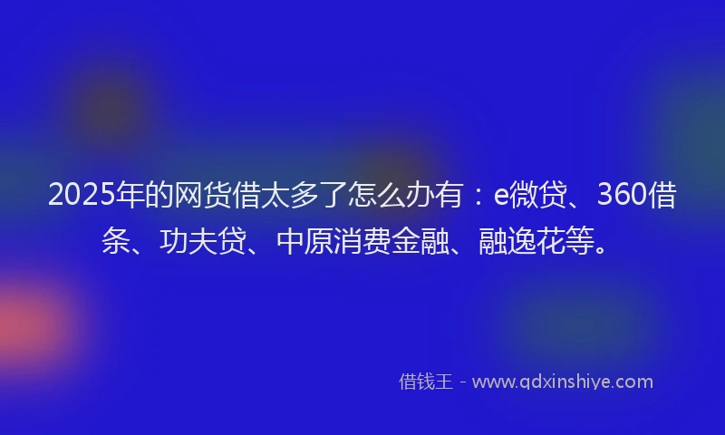2025年的网货借太多了怎么办有：e微贷、360借条、功夫贷、中原消费金融、融逸花等。