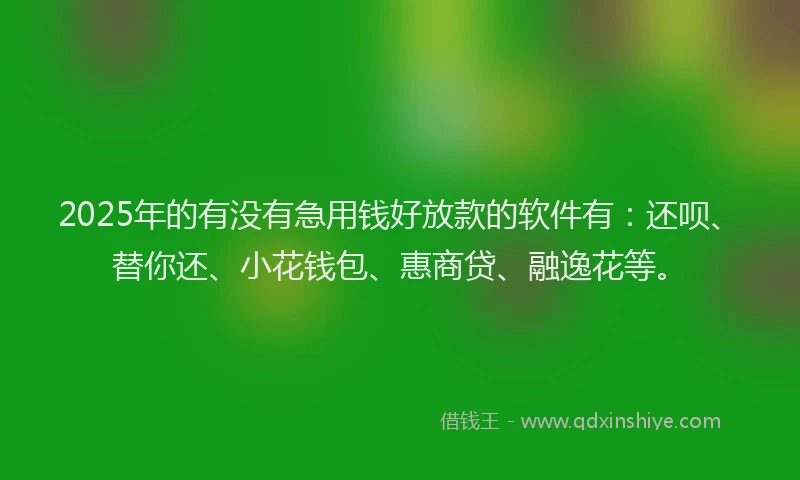 2025年的有没有急用钱好放款的软件有：还呗、替你还、小花钱包、惠商贷、融逸花等。
