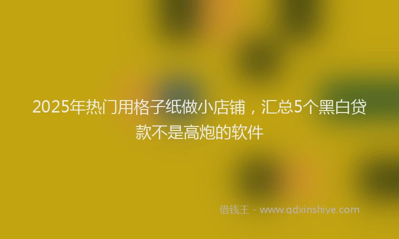 2025年热门用格子纸做小店铺，汇总5个黑白贷款不是高炮的软件