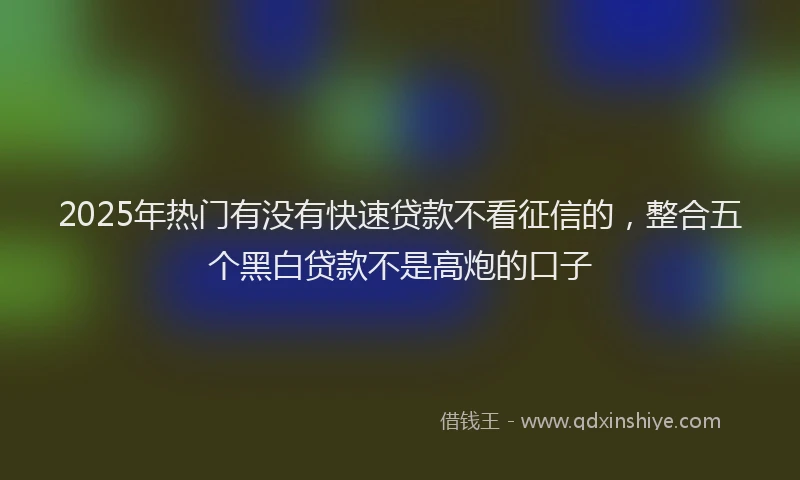2025年热门有没有快速贷款不看征信的，整合五个黑白贷款不是高炮的口子