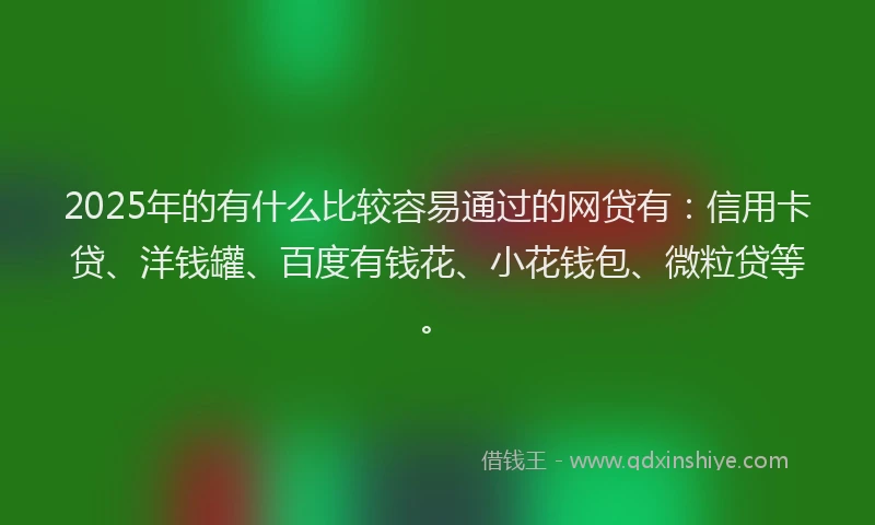2025年的有什么比较容易通过的网贷有：信用卡贷、洋钱罐、百度有钱花、小花钱包、微粒贷等。