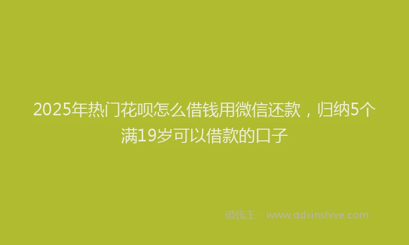 2025年热门花呗怎么借钱用微信还款，归纳5个满19岁可以借款的口子