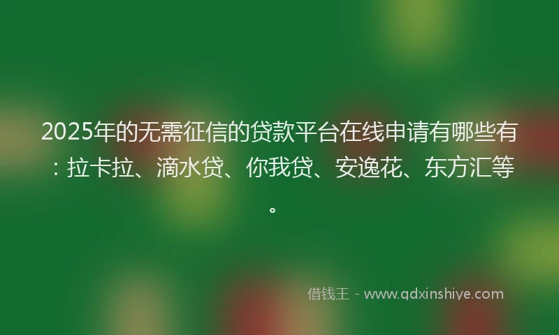 2025年的无需征信的贷款平台在线申请有哪些有：拉卡拉、滴水贷、你我贷、安逸花、东方汇等。