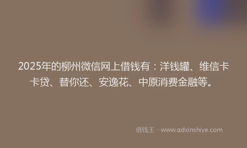 2025年的柳州微信网上借钱有：洋钱罐、维信卡卡贷、替你还、安逸花、中原消费金融等。