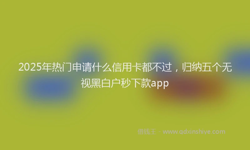2025年热门申请什么信用卡都不过，归纳五个无视黑白户秒下款app