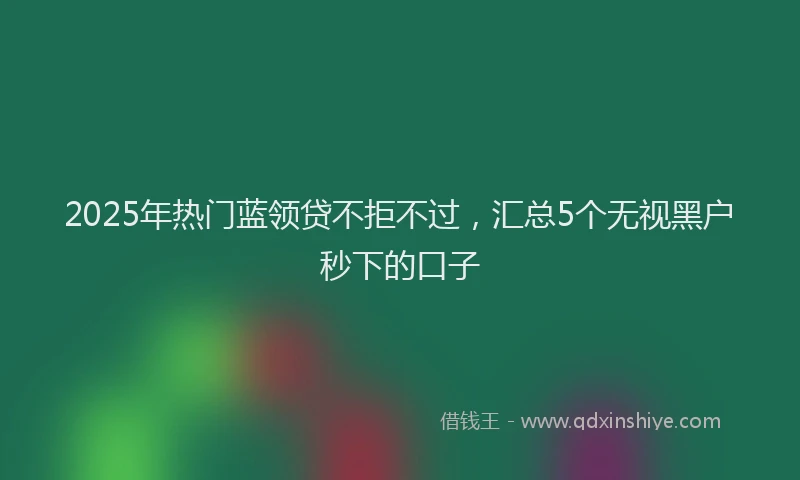 2025年热门蓝领贷不拒不过，汇总5个无视黑户秒下的口子