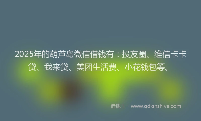 2025年的葫芦岛微信借钱有：投友圈、维信卡卡贷、我来贷、美团生活费、小花钱包等。