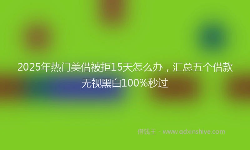 2025年热门美借被拒15天怎么办，汇总五个借款无视黑白100%秒过