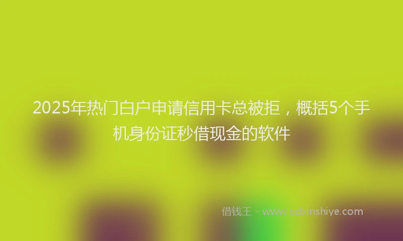 2025年热门白户申请信用卡总被拒，概括5个手机身份证秒借现金的软件