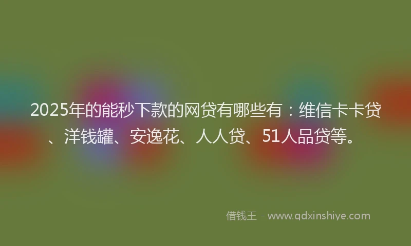 2025年的能秒下款的网贷有哪些有：维信卡卡贷、洋钱罐、安逸花、人人贷、51人品贷等。