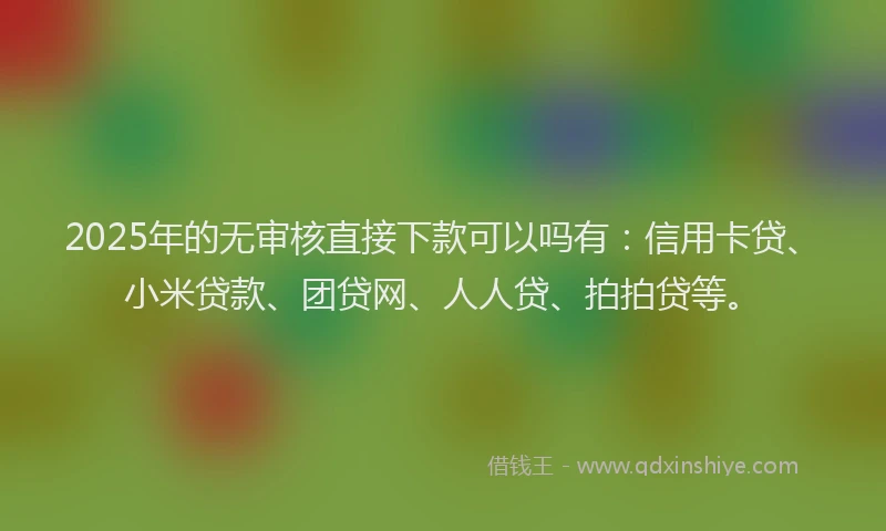 2025年的无审核直接下款可以吗有：信用卡贷、小米贷款、团贷网、人人贷、拍拍贷等。