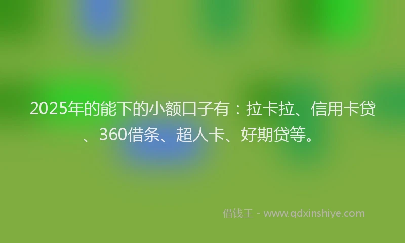 2025年的能下的小额口子有：拉卡拉、信用卡贷、360借条、超人卡、好期贷等。