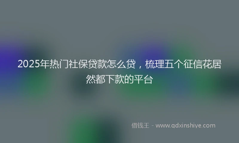 2025年热门社保贷款怎么贷，梳理五个征信花居然都下款的平台