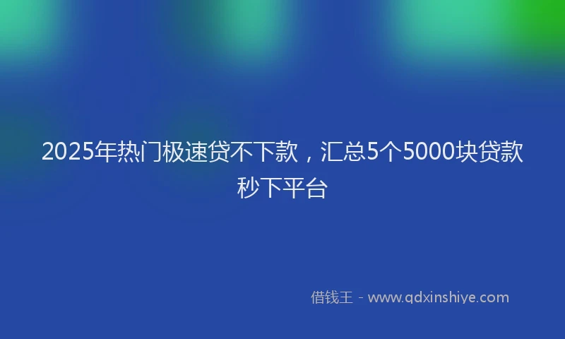 2025年热门极速贷不下款，汇总5个5000块贷款秒下平台