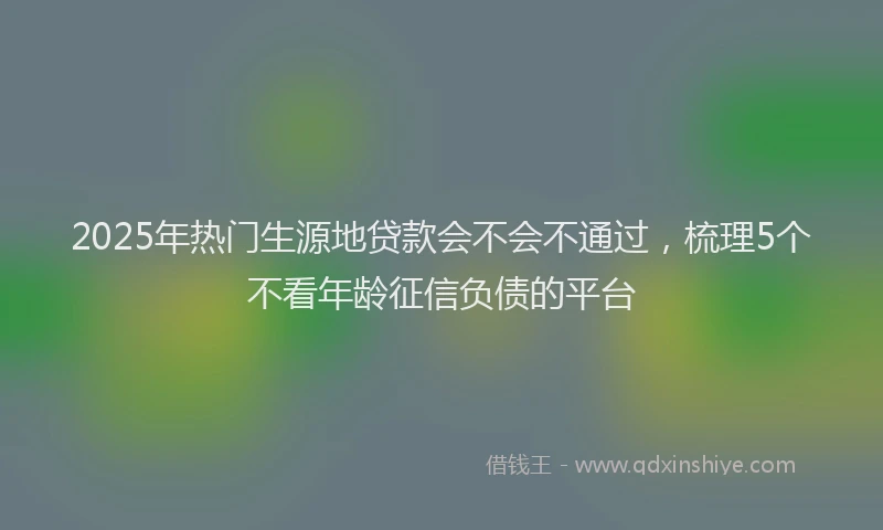 2025年热门生源地贷款会不会不通过，梳理5个不看年龄征信负债的平台