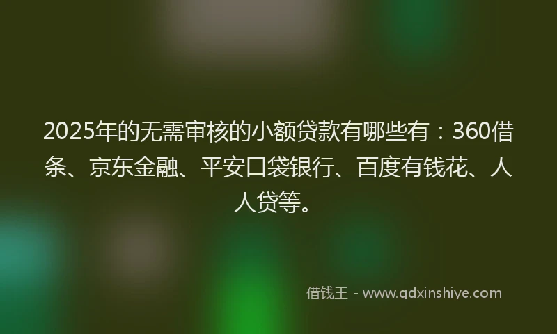 2025年的无需审核的小额贷款有哪些有：360借条、京东金融、平安口袋银行、百度有钱花、人人贷等。