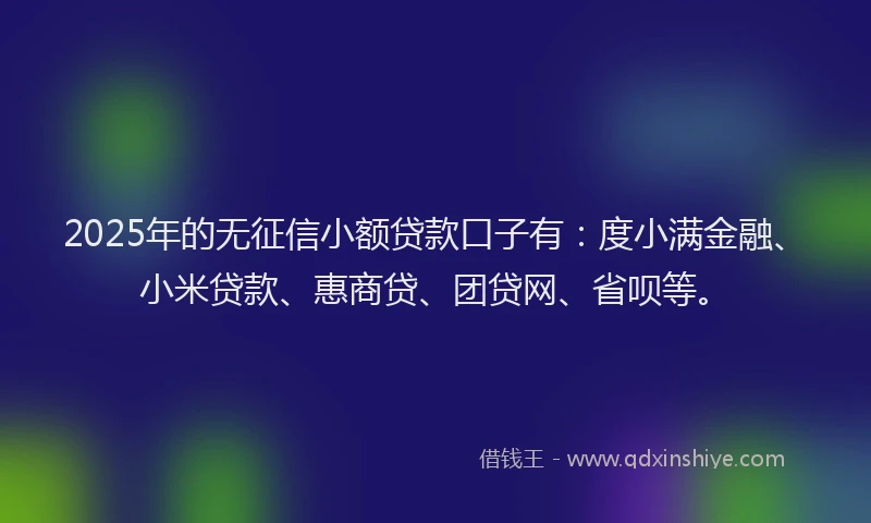 2025年的无征信小额贷款口子有：度小满金融、小米贷款、惠商贷、团贷网、省呗等。