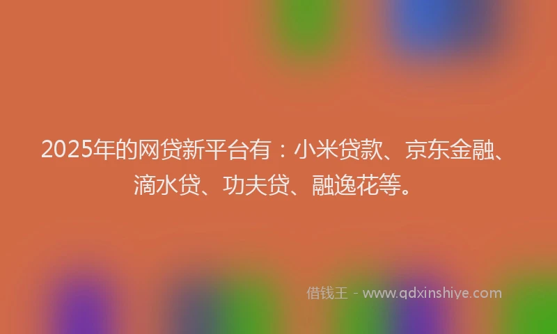 2025年的网贷新平台有：小米贷款、京东金融、滴水贷、功夫贷、融逸花等。