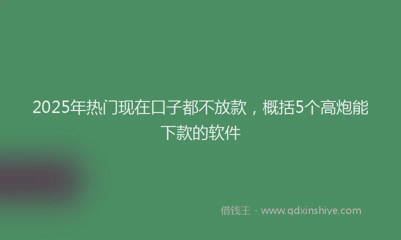 2025年热门现在口子都不放款，概括5个高炮能下款的软件