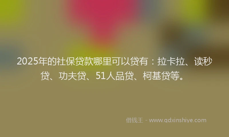 2025年的社保贷款哪里可以贷有：拉卡拉、读秒贷、功夫贷、51人品贷、柯基贷等。