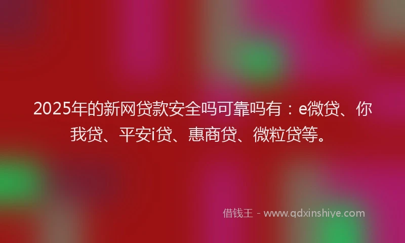2025年的新网贷款安全吗可靠吗有：e微贷、你我贷、平安i贷、惠商贷、微粒贷等。