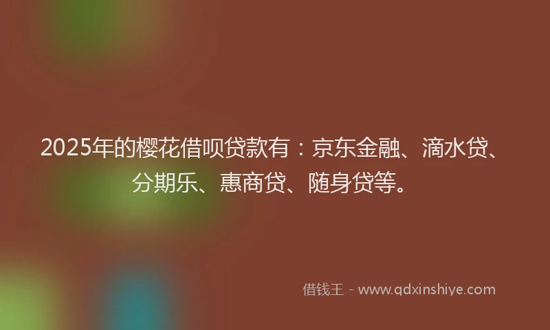 2025年的樱花借呗贷款有：京东金融、滴水贷、分期乐、惠商贷、随身贷等。