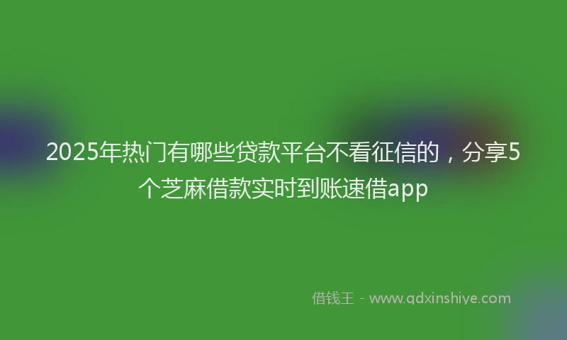 2025年热门有哪些贷款平台不看征信的，分享5个芝麻借款实时到账速借app