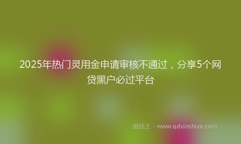 2025年热门灵用金申请审核不通过，分享5个网贷黑户必过平台