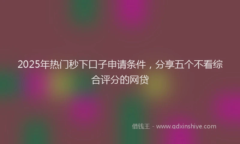 2025年热门秒下口子申请条件，分享五个不看综合评分的网贷
