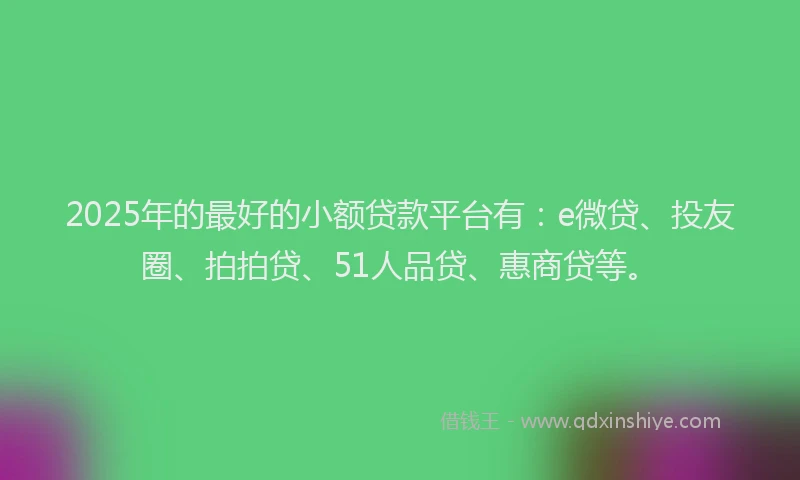 2025年的最好的小额贷款平台有：e微贷、投友圈、拍拍贷、51人品贷、惠商贷等。