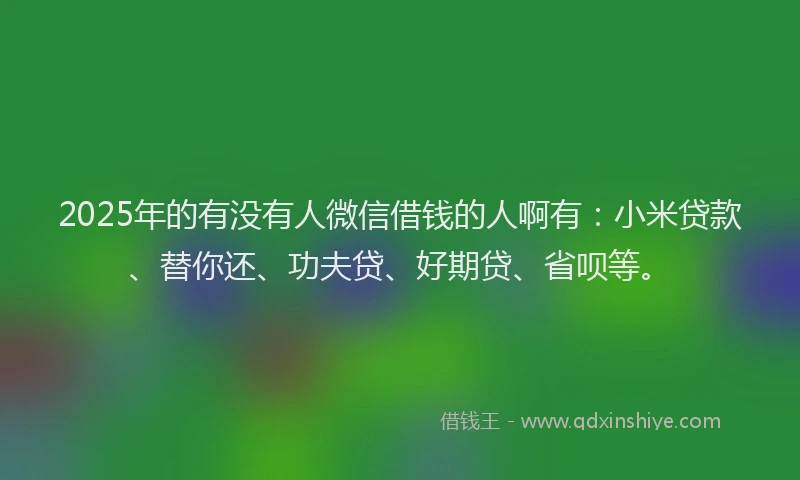 2025年的有没有人微信借钱的人啊有：小米贷款、替你还、功夫贷、好期贷、省呗等。