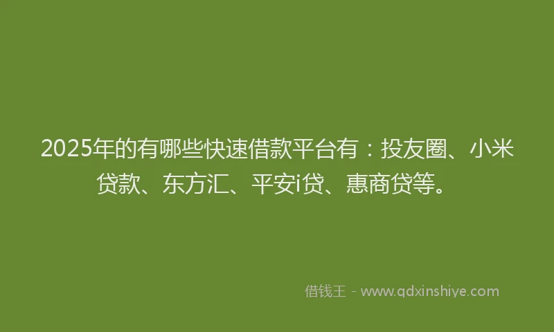 2025年的有哪些快速借款平台有：投友圈、小米贷款、东方汇、平安i贷、惠商贷等。