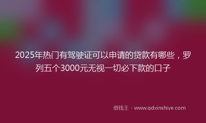 2025年热门有驾驶证可以申请的贷款有哪些，罗列五个3000元无视一切必下款的口子