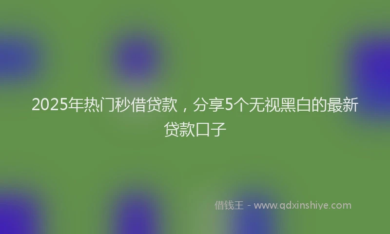 2025年热门秒借贷款，分享5个无视黑白的最新贷款口子
