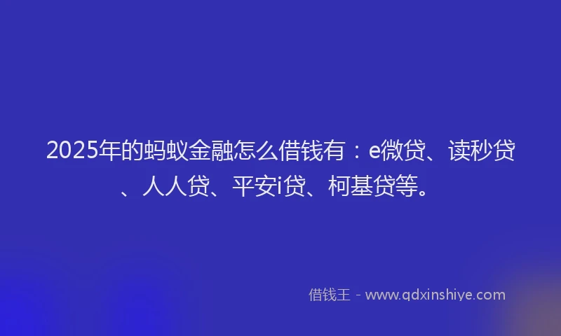 2025年的蚂蚁金融怎么借钱有：e微贷、读秒贷、人人贷、平安i贷、柯基贷等。