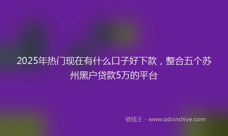 2025年热门现在有什么口子好下款，整合五个苏州黑户贷款5万的平台