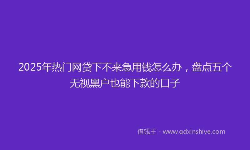 2025年热门网贷下不来急用钱怎么办，盘点五个无视黑户也能下款的口子
