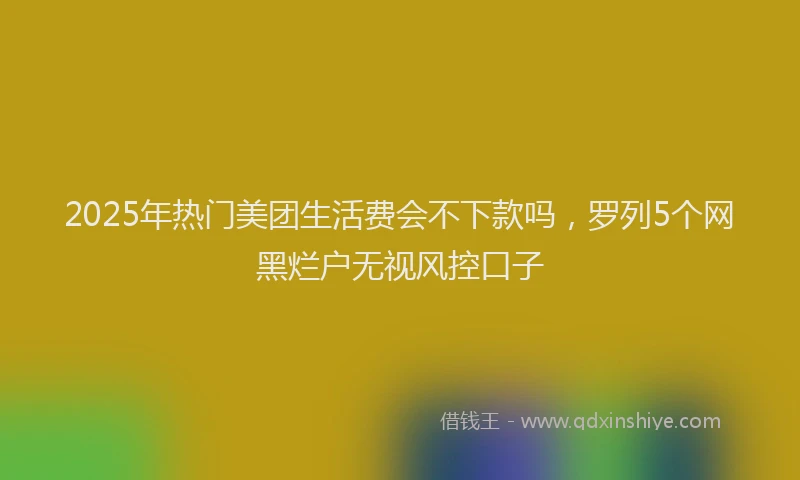 2025年热门美团生活费会不下款吗,罗列5个网黑烂户无视风控口子
