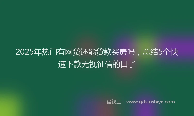 2025年热门有网贷还能贷款买房吗，总结5个快速下款无视征信的口子