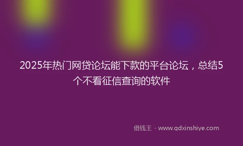 2025年热门网贷论坛能下款的平台论坛，总结5个不看征信查询的软件