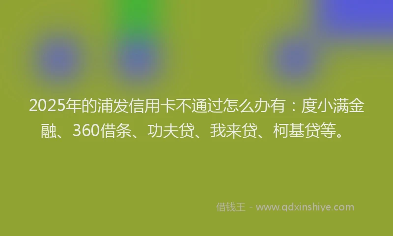 2025年的浦发信用卡不通过怎么办有：度小满金融、360借条、功夫贷、我来贷、柯基贷等。