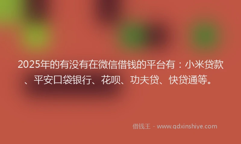 2025年的有没有在微信借钱的平台有：小米贷款、平安口袋银行、花呗、功夫贷、快贷通等。