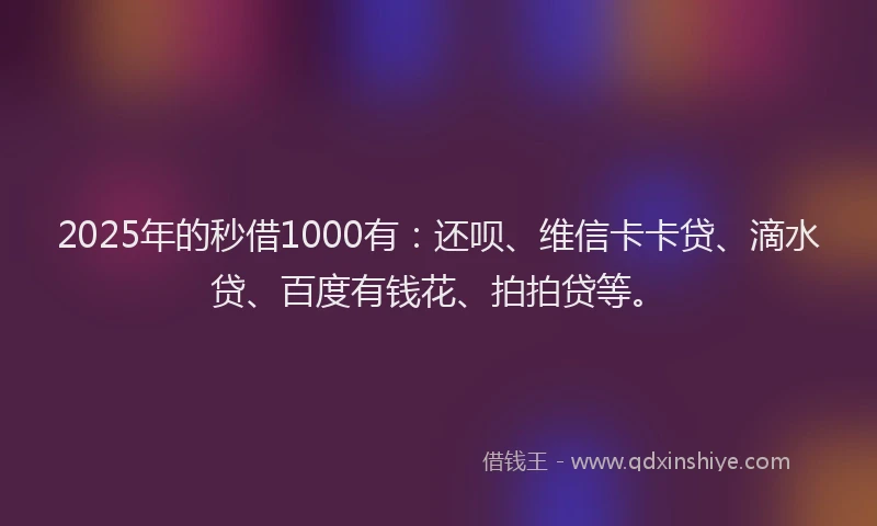 2025年的秒借1000有：还呗、维信卡卡贷、滴水贷、百度有钱花、拍拍贷等。